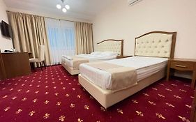 Hostel Paltinis